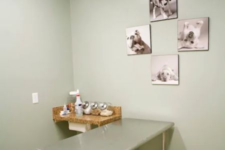 Halfmoon Valley Animal Hospital