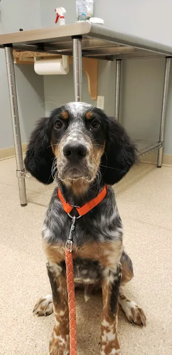 Halfmoon Valley Animal Hospital 12