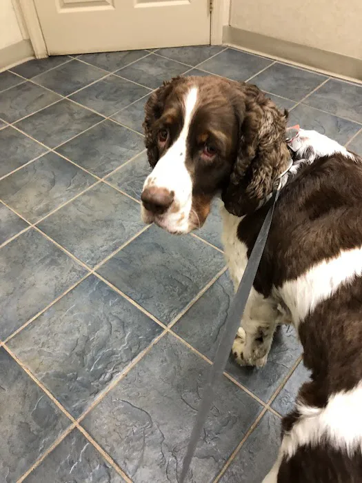 Muncy Veterinary Center 1