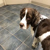 Muncy Veterinary Center ico