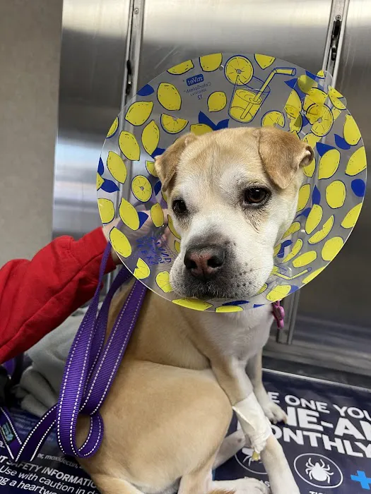 Muncy Veterinary Center 6