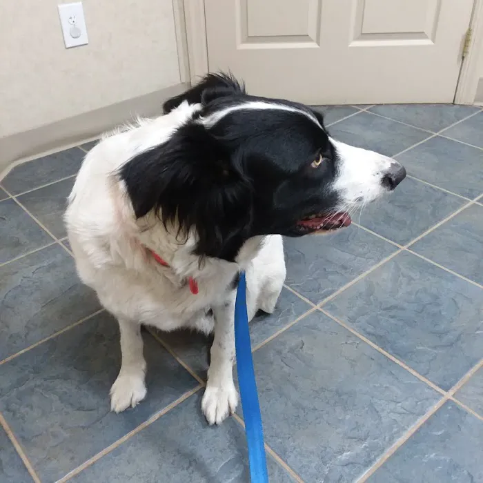 Muncy Veterinary Center 8
