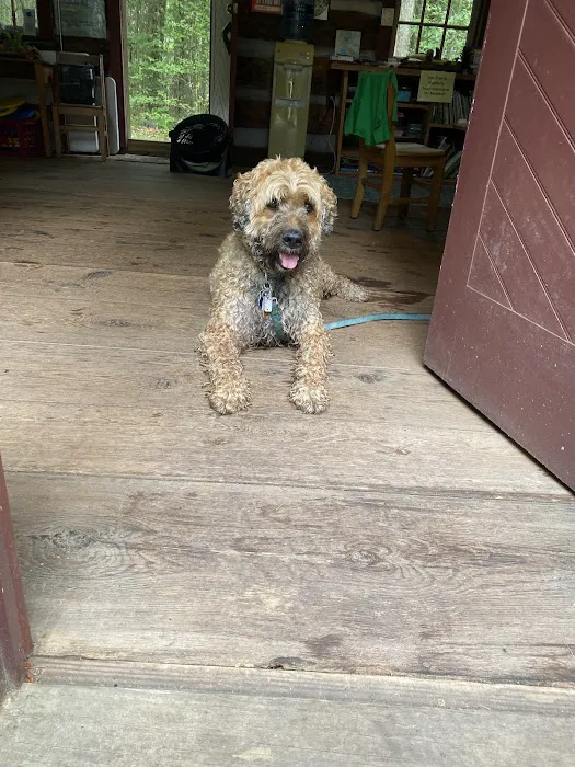 Muncy Veterinary Center 5