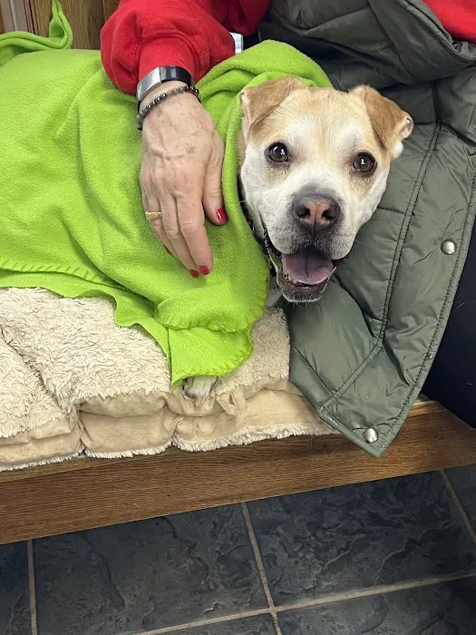 Muncy Veterinary Center 4