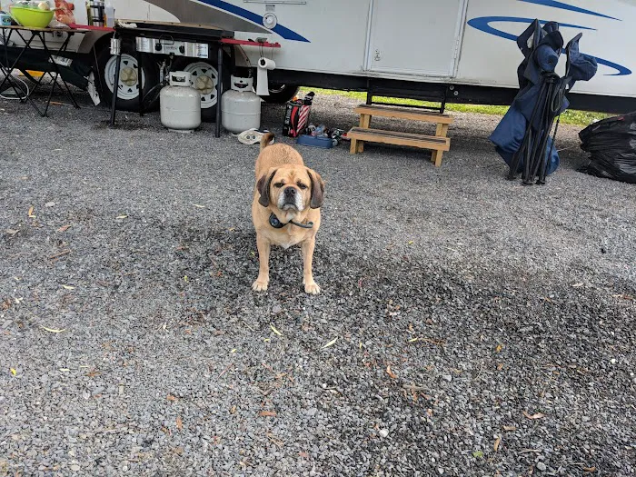 Muncy Veterinary Center 10