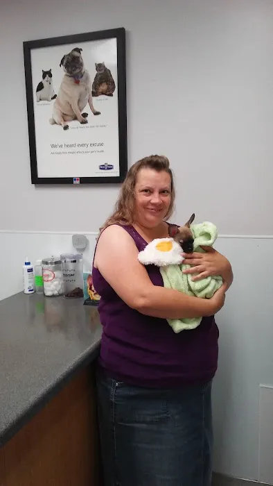 Roseville Veterinary Services 12