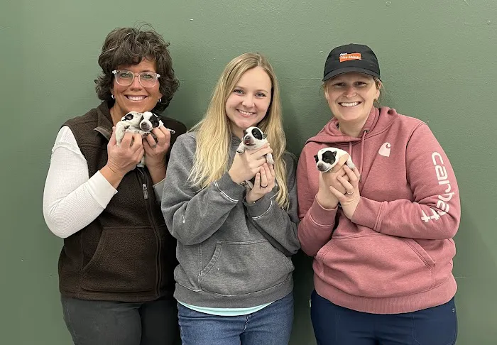 Hometown Veterinary Service, LLC 12