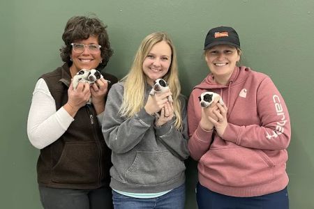 Hometown Veterinary Service, LLC