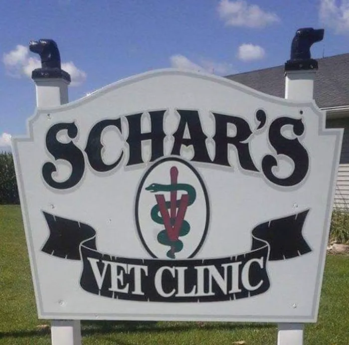Schar's Veterinary Clinic 12
