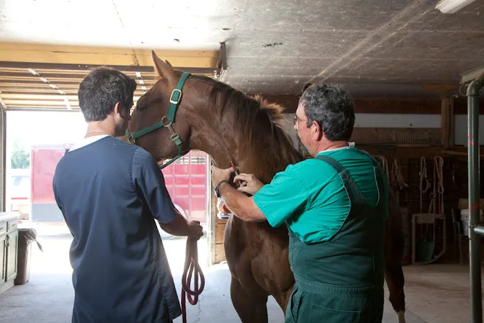 Spoon River Animal Clinic 9