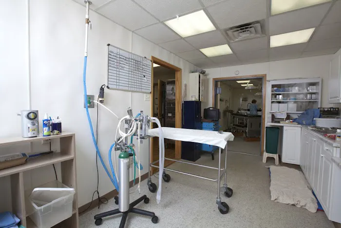 Spoon River Animal Clinic 3