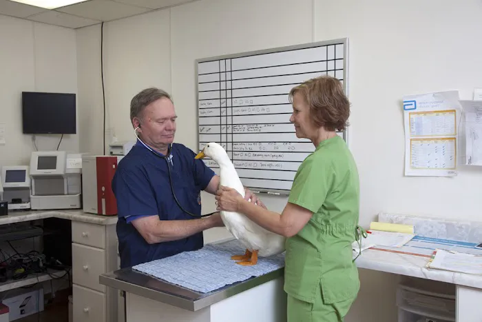 Spoon River Animal Clinic 8
