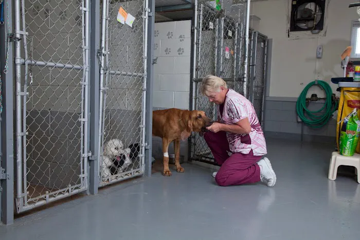 Spoon River Animal Clinic 7