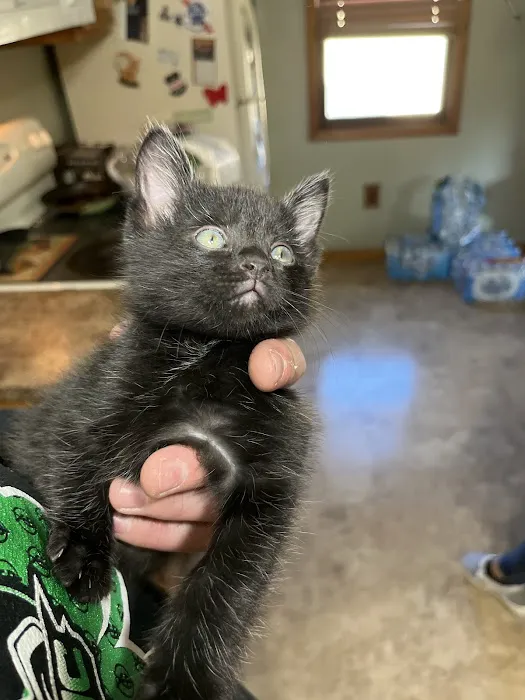 Oakdale Veterinary Center 5