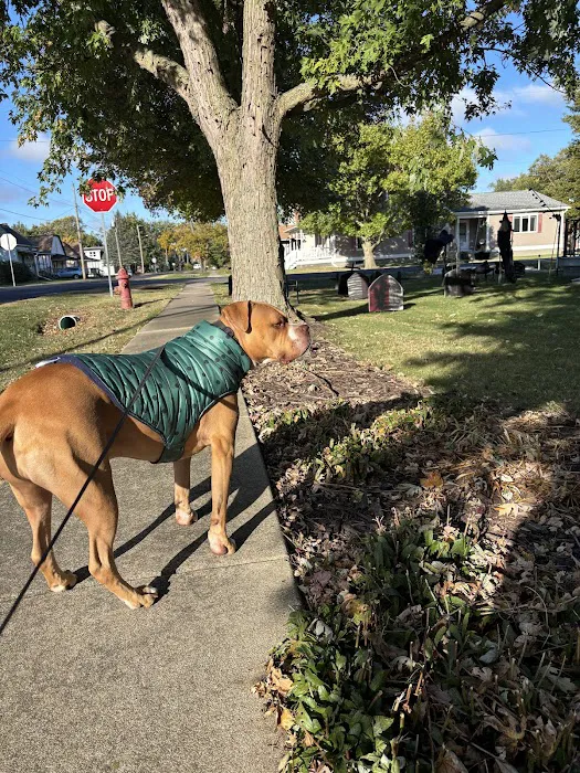 Oakdale Veterinary Center 7