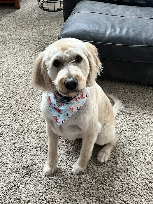 Oakdale Veterinary Center 9