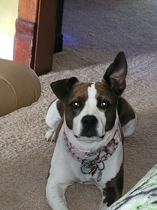 Oakdale Veterinary Center 8