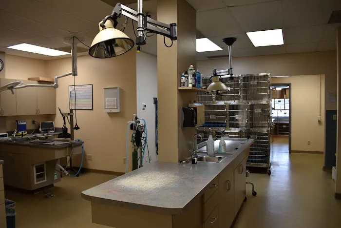 Animal Care Hospital 12