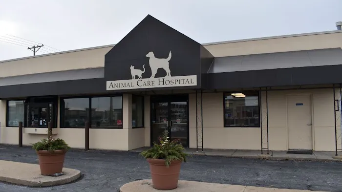 Animal Care Hospital 12