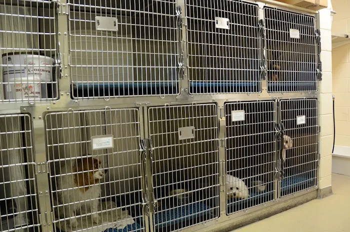 Animal Care Hospital 12