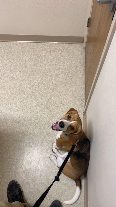 Blairs Ferry Pet Hospital 12