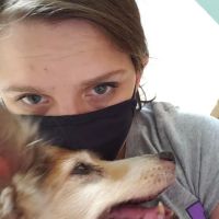 Reilly Mark DVM ico