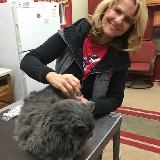 Veterinary Integrative Performance Services (VIPs Vet) 12