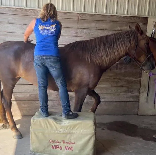 Veterinary Integrative Performance Services (VIPs Vet) 12