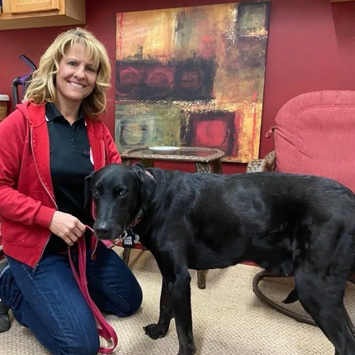 Veterinary Integrative Performance Services (VIPs Vet) 12