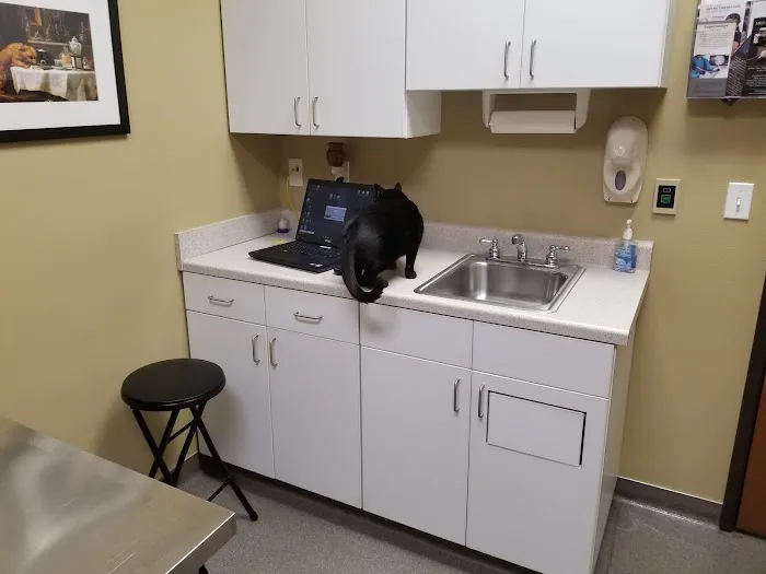 Petersen Pet Hospital 12