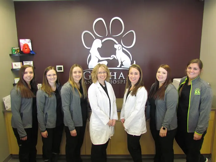 Graham Animal Hospital 12