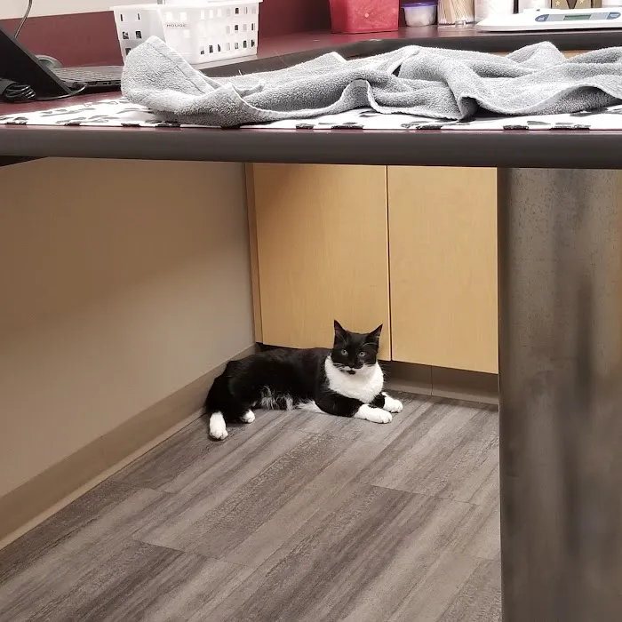 Graham Animal Hospital 12