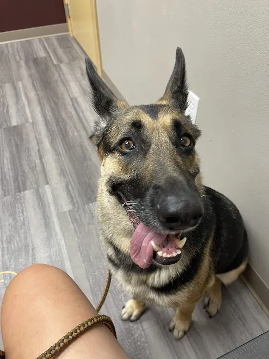 Graham Animal Hospital 12