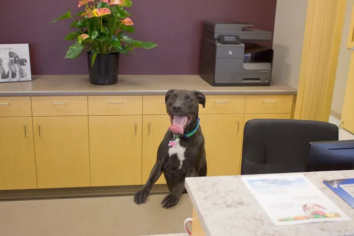 Graham Animal Hospital 12