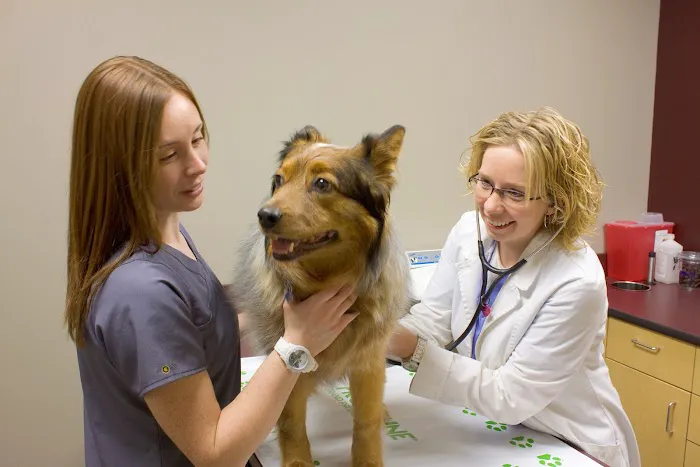 Graham Animal Hospital 12