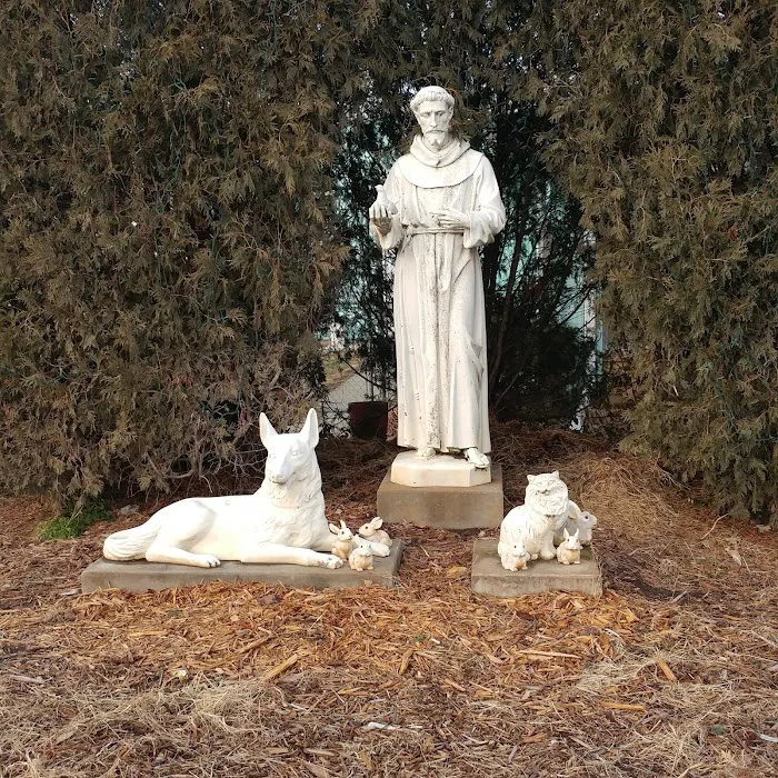 St. Francis Veterinary Clinic 7
