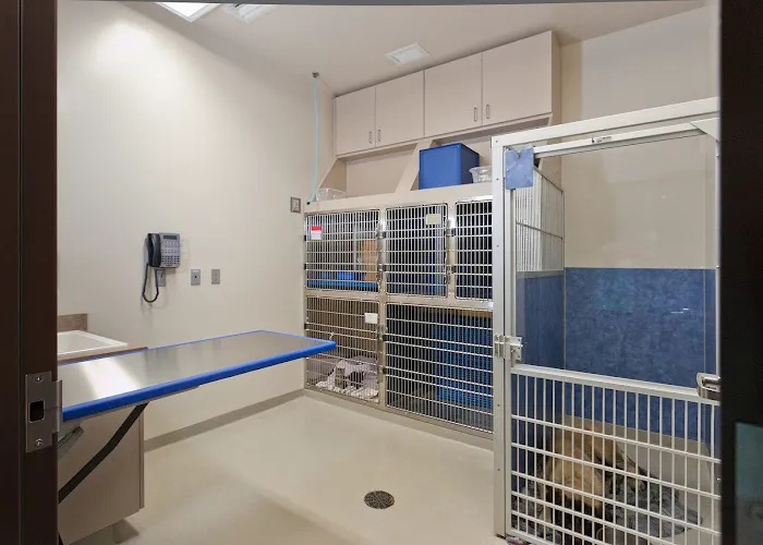 Frey Pet Hospital 9