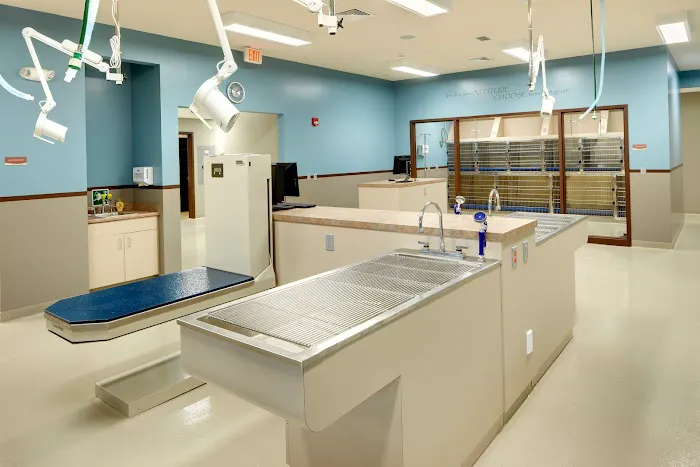 Frey Pet Hospital 3