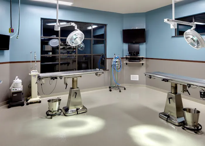 Frey Pet Hospital 10