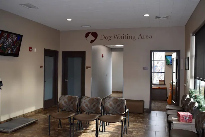 Frey Pet Hospital 7