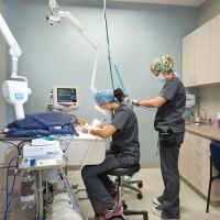 Frey Pet Hospital ico