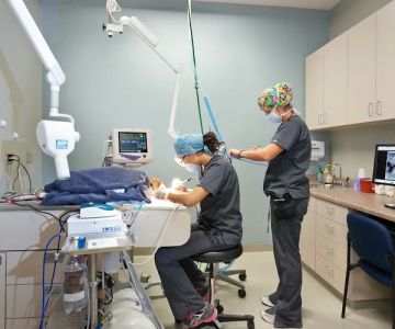 Frey Pet Hospital