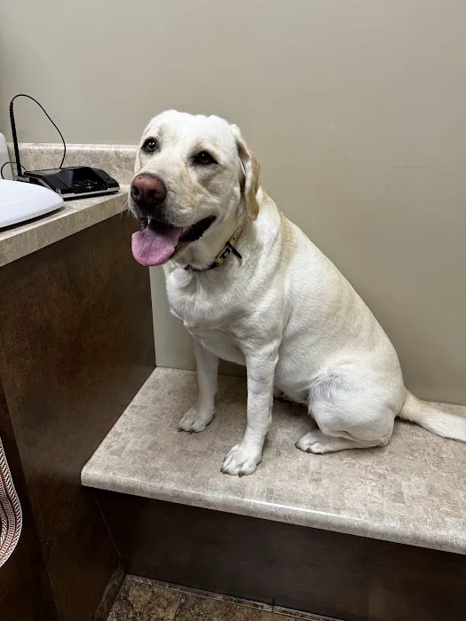 Frey Pet Hospital 2