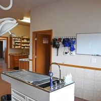 Heartland Animal Hospital Fairfax ico