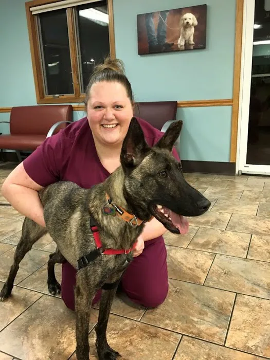 VCA Edgewood Animal Hospital 12