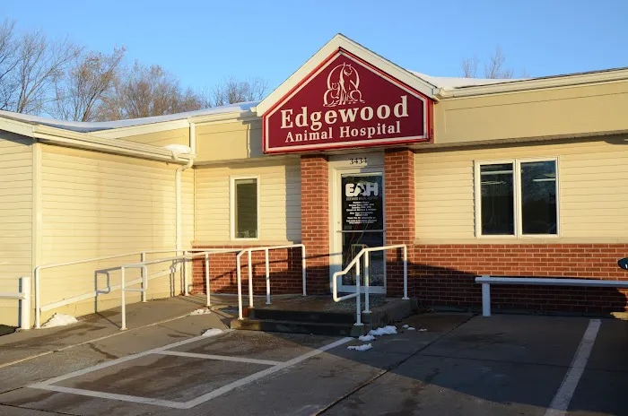 VCA Edgewood Animal Hospital 12