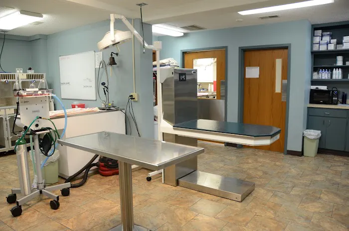 VCA Edgewood Animal Hospital 12