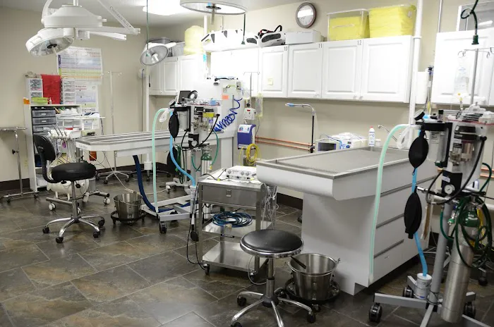 VCA Edgewood Animal Hospital 12