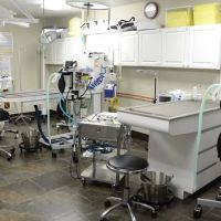 VCA Edgewood Animal Hospital ico