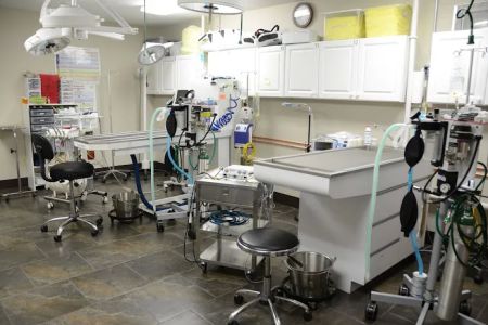 VCA Edgewood Animal Hospital